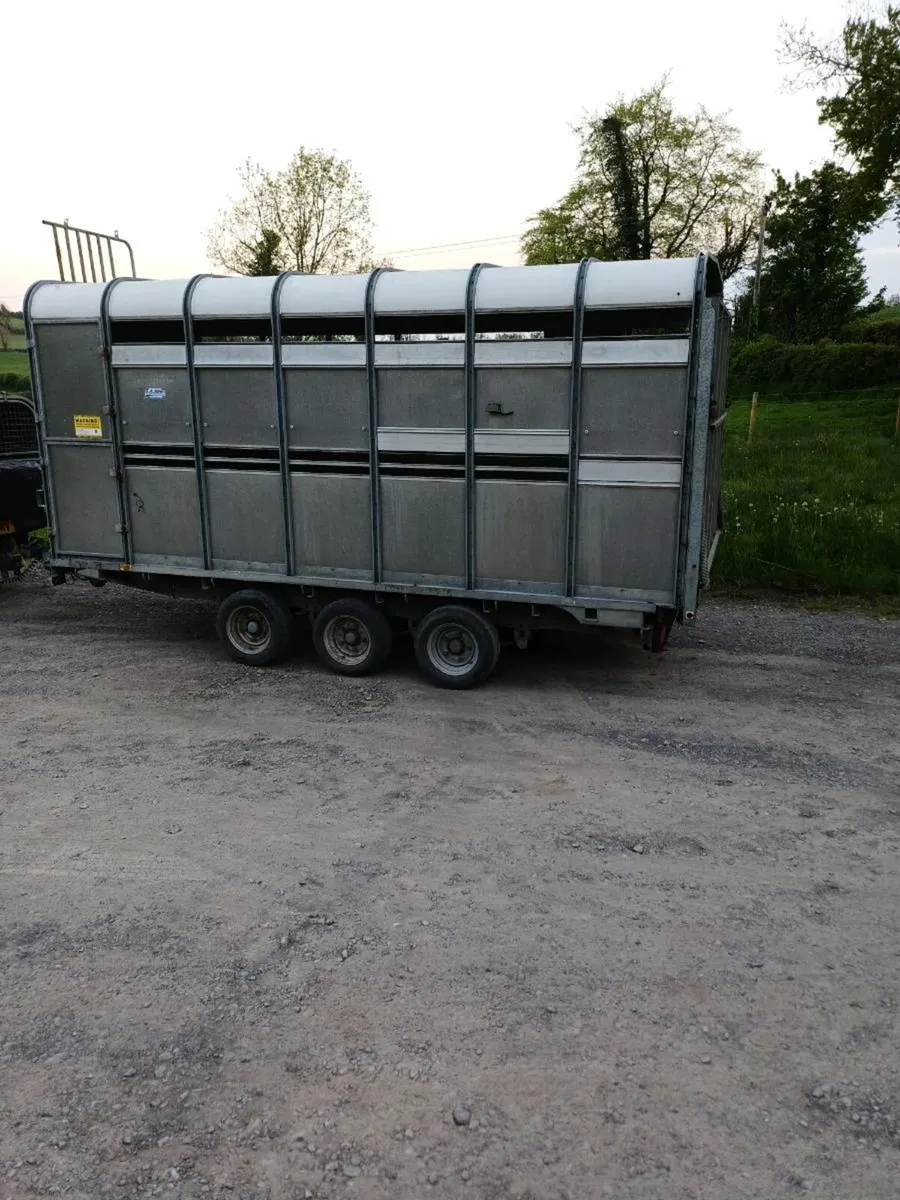 Ifor williams 14ft,  cattle trailer £2650/ €3200 - Image 3