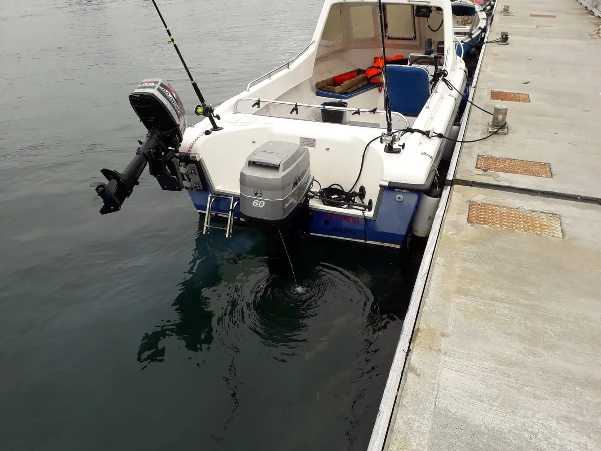 Warrior 165 - Image 2