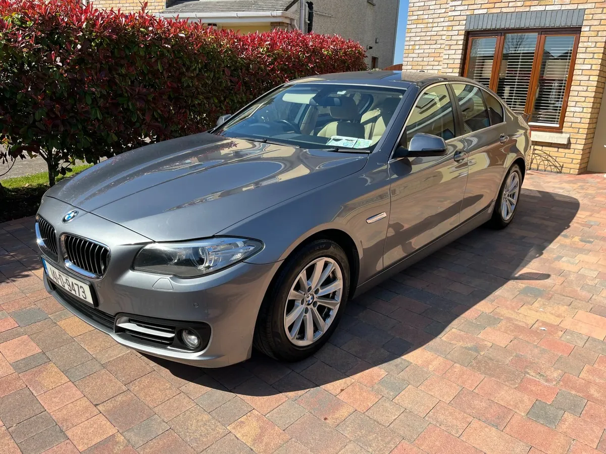 BMW 520 SE 2TE 5C32 4DR AUTO - Image 1