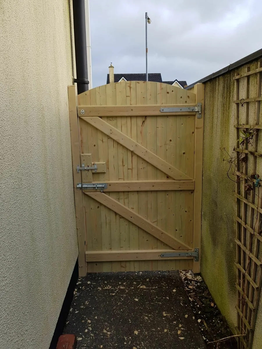 Arched Side Gate - Image 2