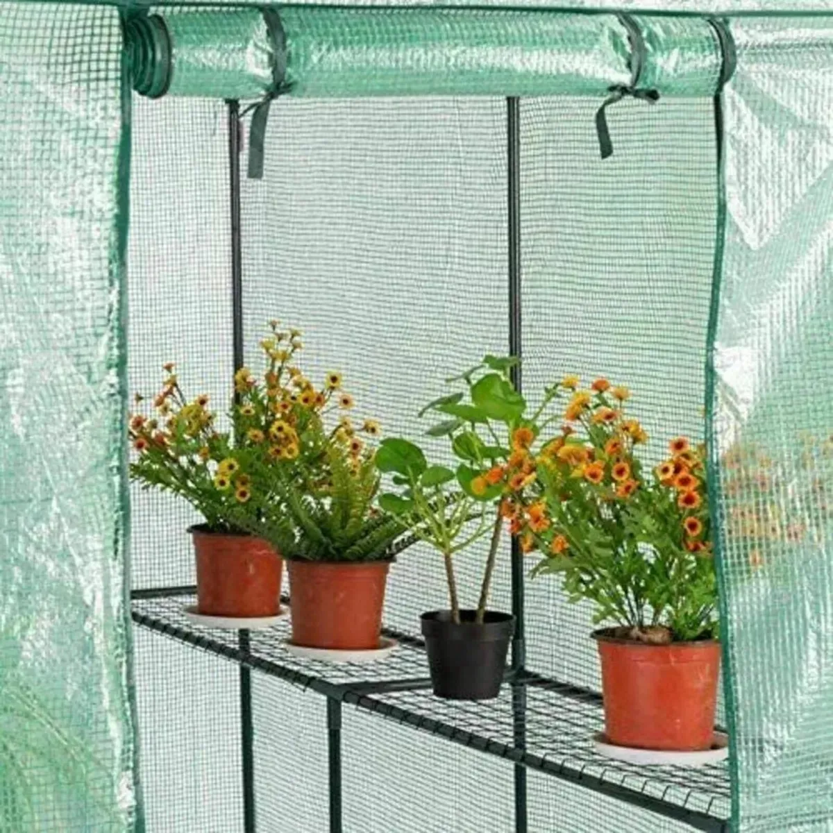 Foil Greenhouse for Tomato Plants - Image 3