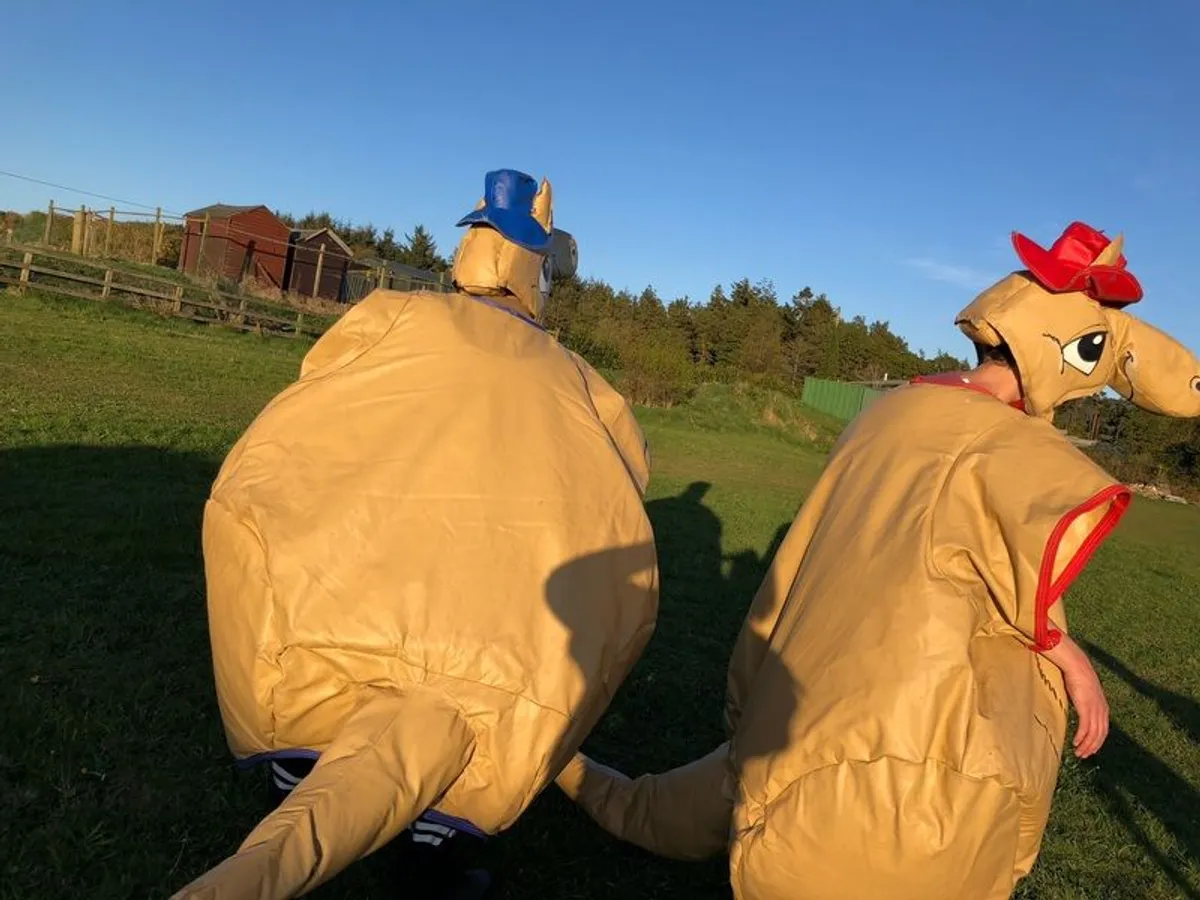 Kangaroo Suits for Sale! Great addition to bouncy castle! - Image 2