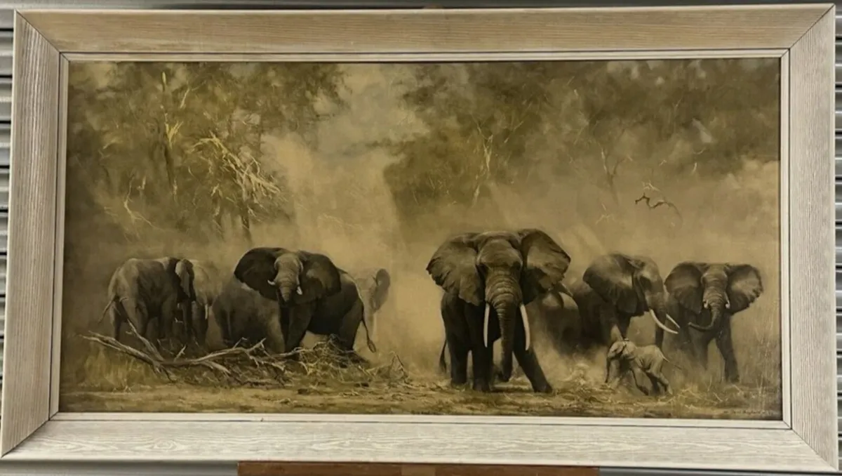 Elephants at amboseli - Image 1