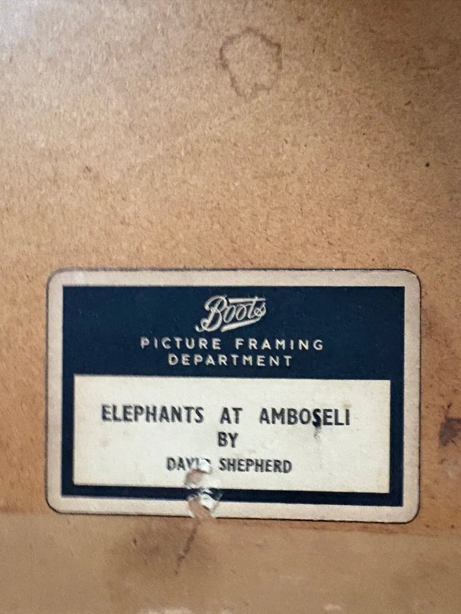 Elephants at amboseli - Image 2