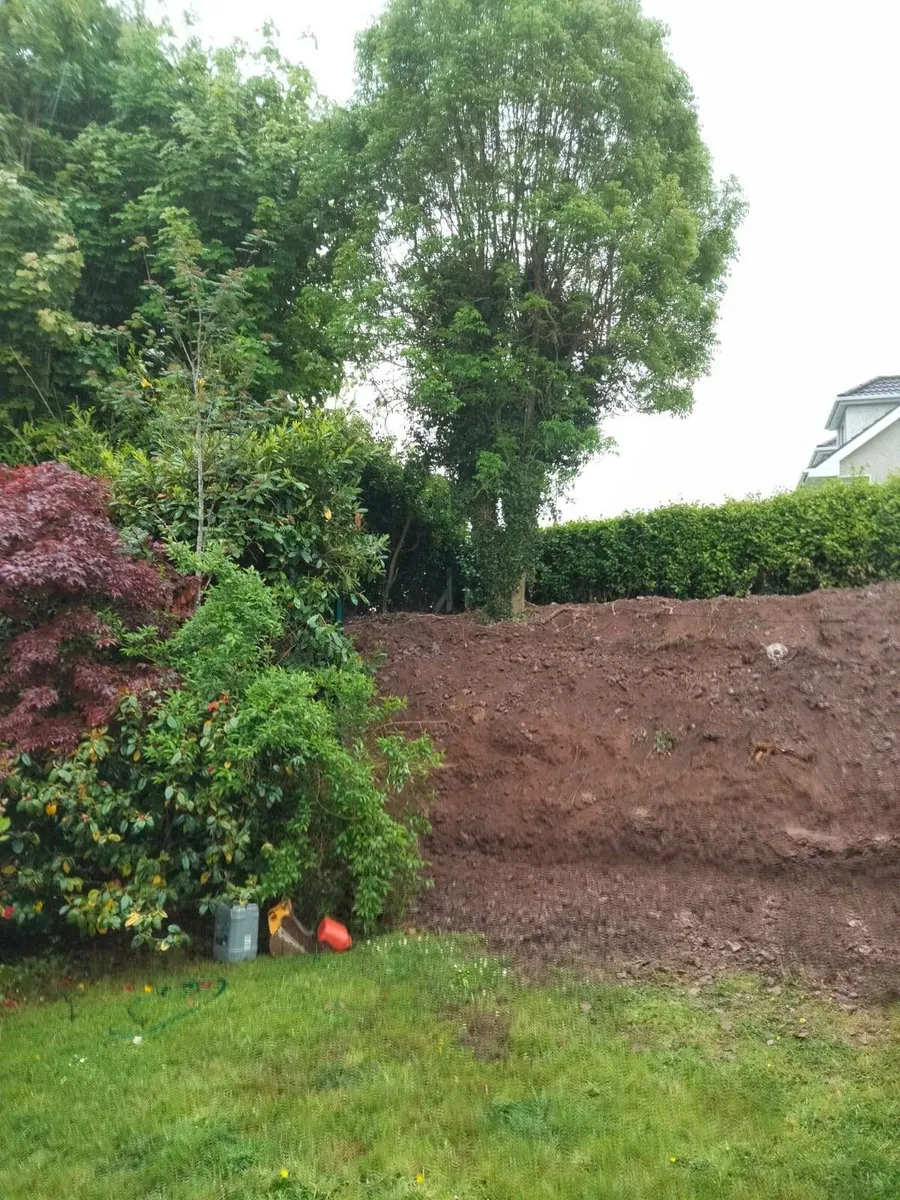 Diggers with driver's all work carried out - Image 3