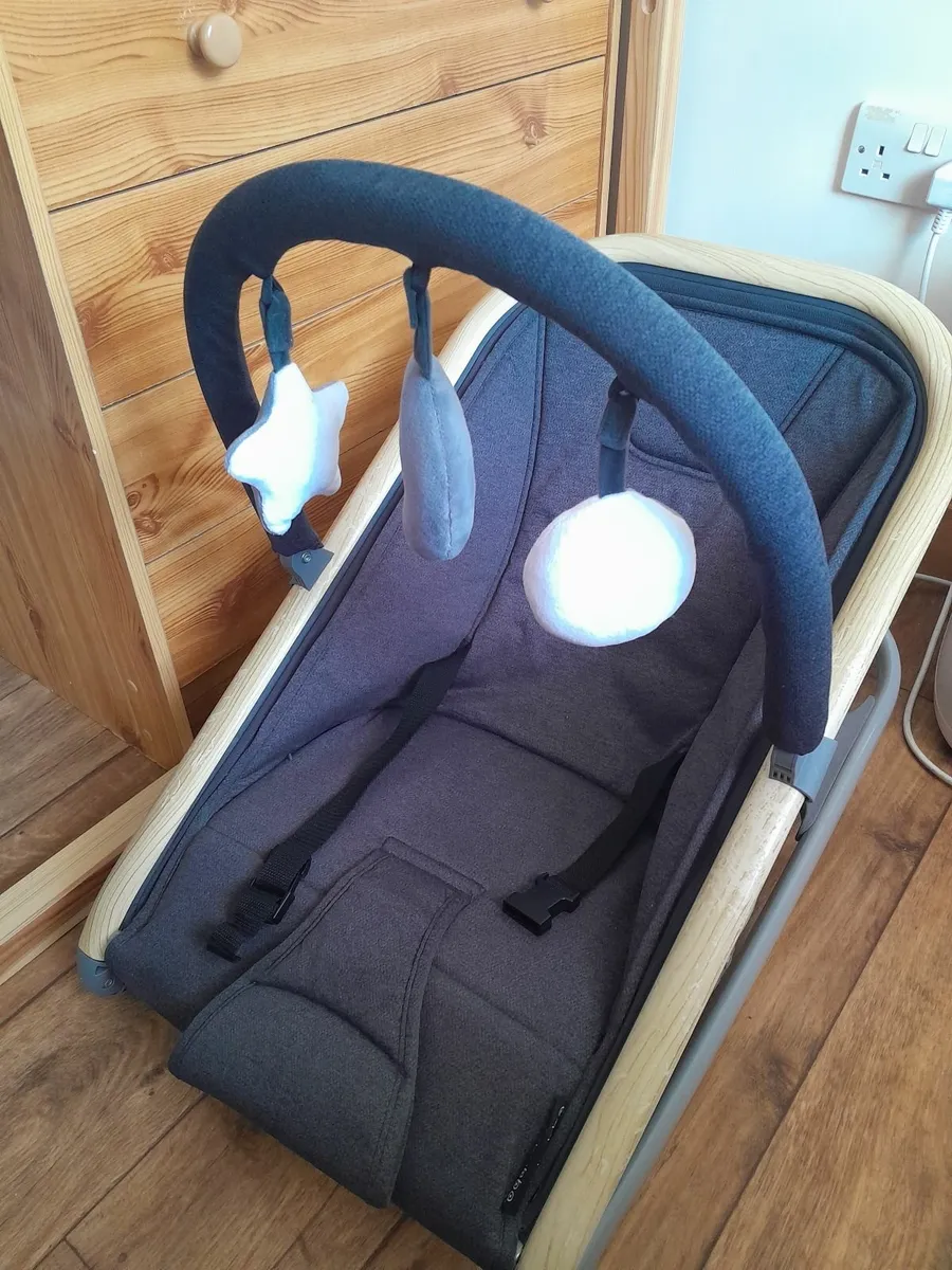 Baby Bouncer - Image 1