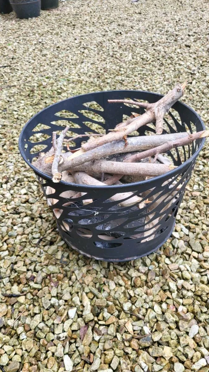 Outdoor Fire Pit