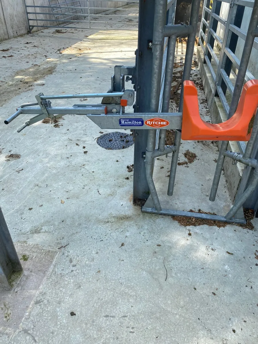 Ritchie  - Head Scoop (Right Hand) - Image 1