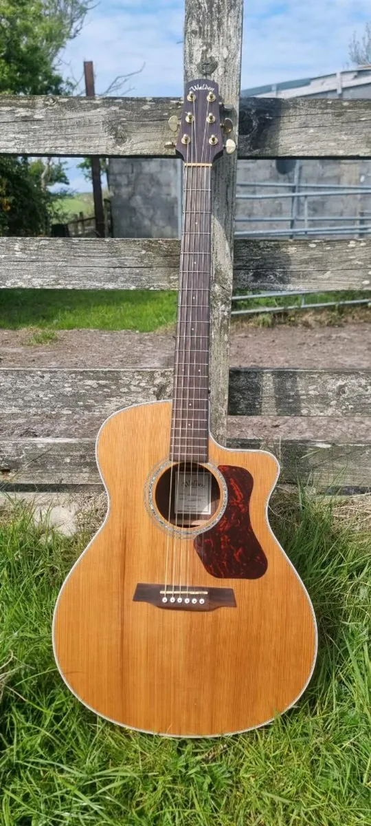 Walden G630CE - Image 1