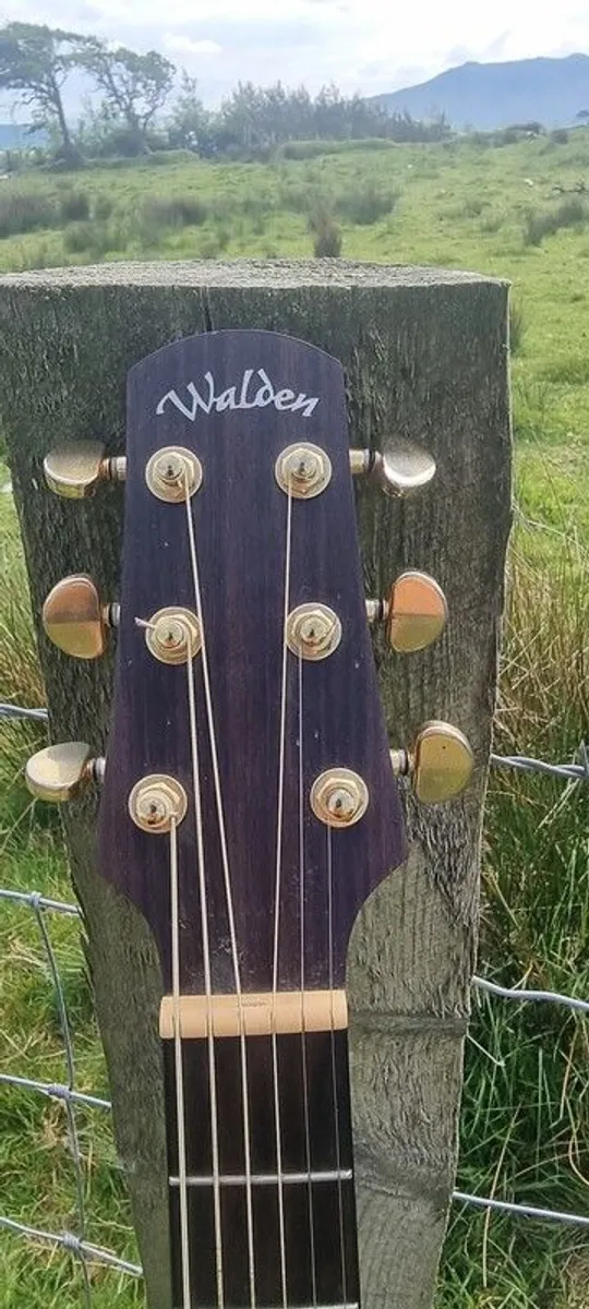 Walden G630CE - Image 2
