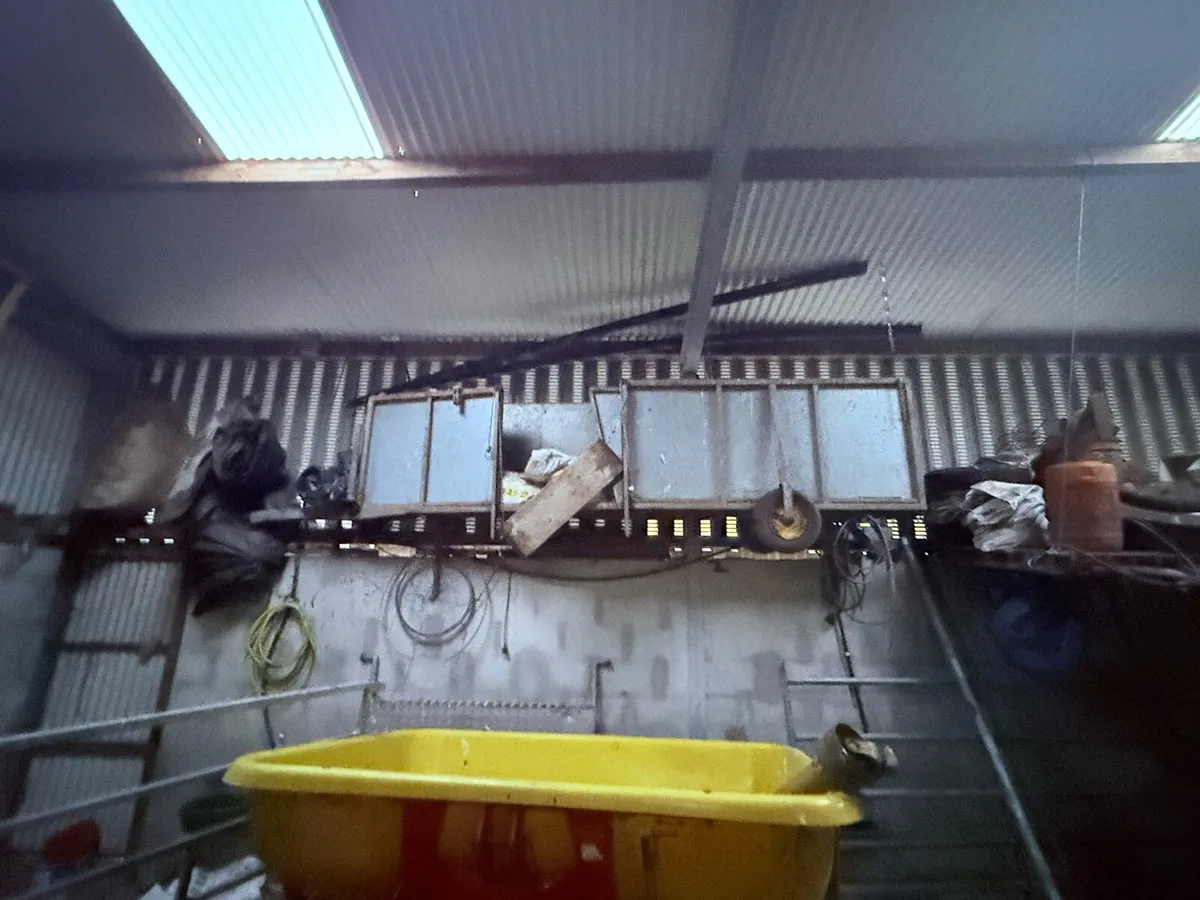 Sheep handling Crate - Image 1