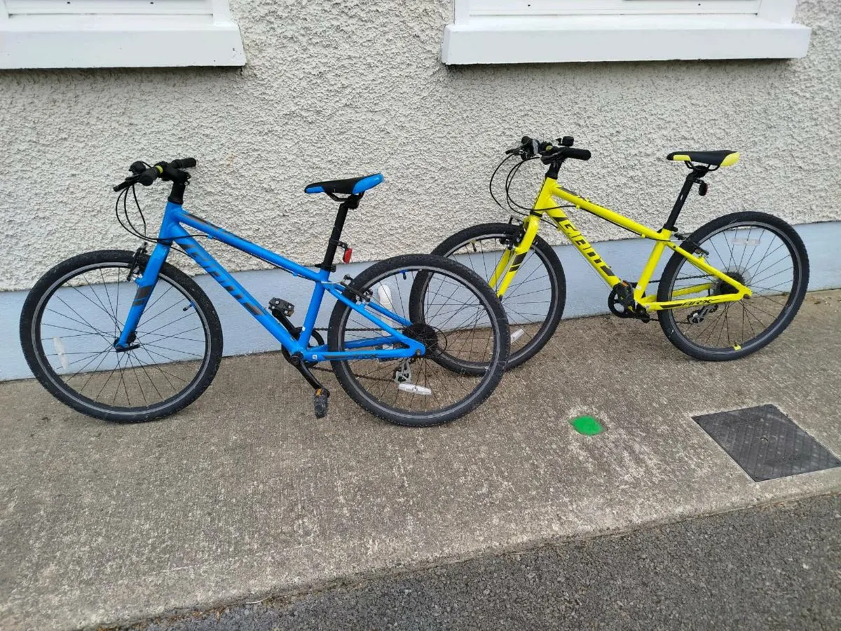 Giant ARX 20 inch kids bikes x 2