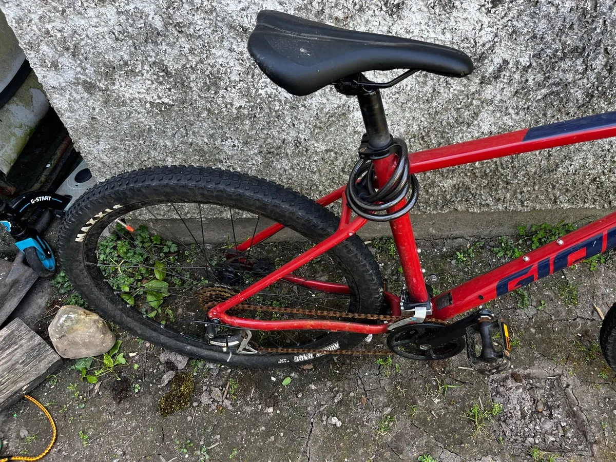 Gaint talon - Image 3