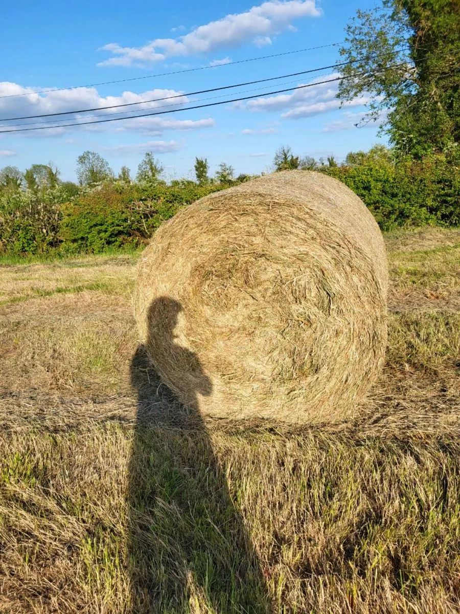 30 bales of Hay bedding ANNADUFF Leitrim - Image 1