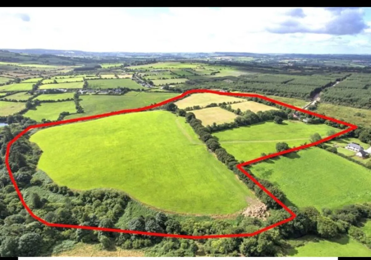Land to let - Long term lease - Image 1