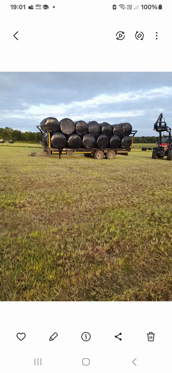 Silage growing