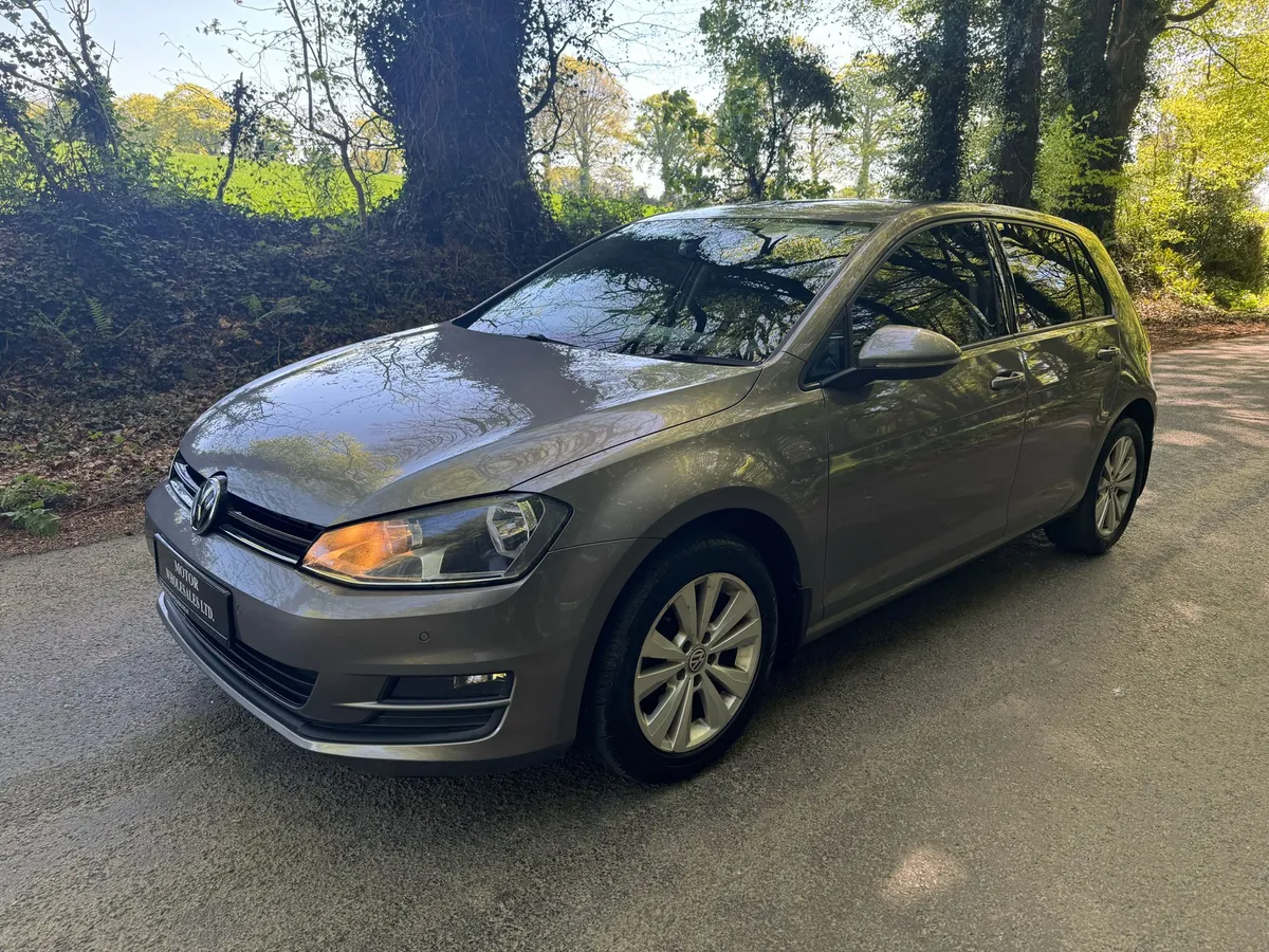 161 VW GOLF 1.6 TDI ZENITH GREY - Image 4