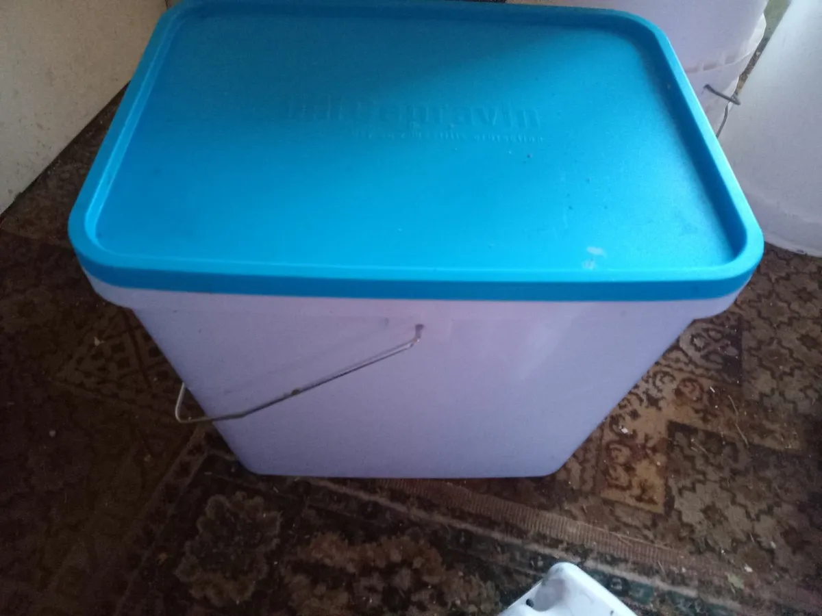 Container - Image 1