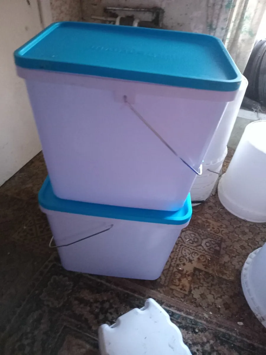 Container - Image 2
