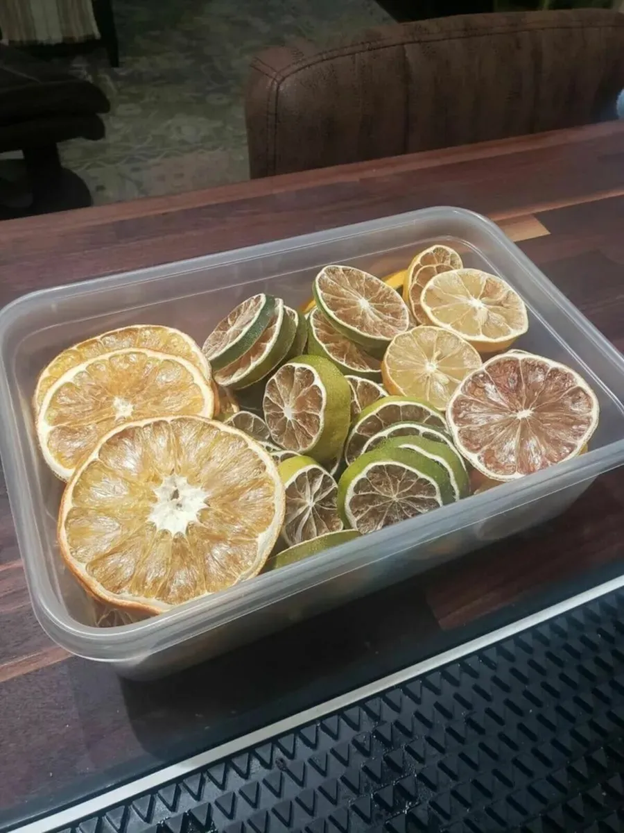 Food Dehydrator Fruit Meat Beef Dryer new - Image 4