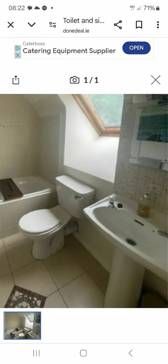 Toilet and sink and pedestal
