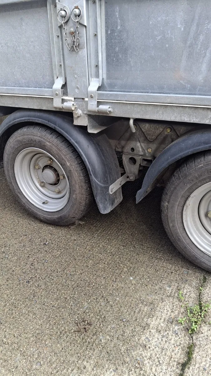 Plant Trailer and Tracked Dumper - Image 3