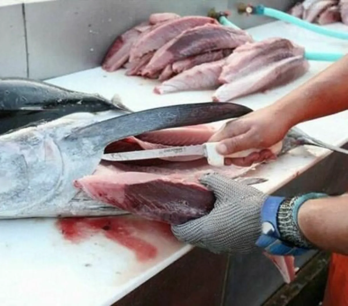 Butcher gloves - Image 3