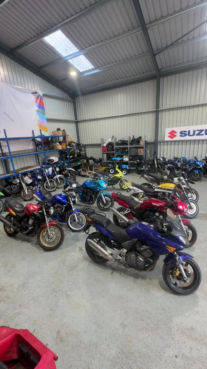 Project and running bikes - Image 1