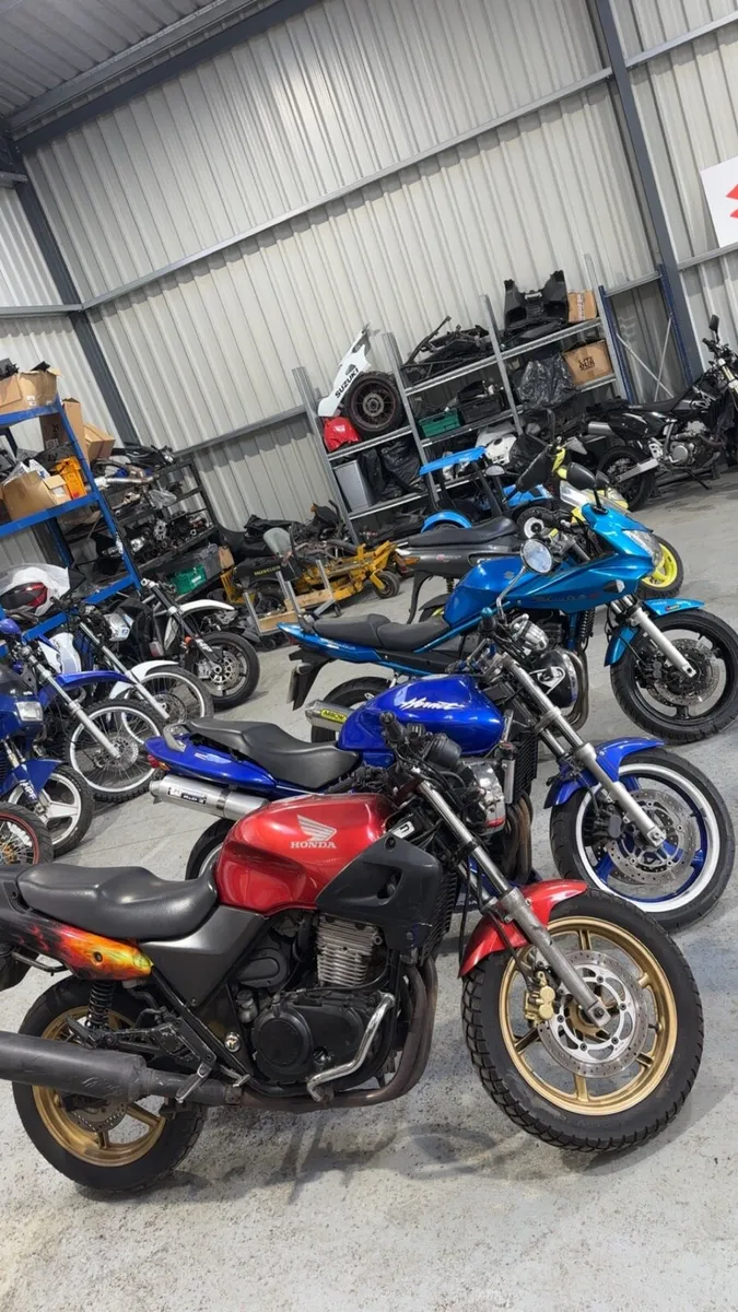 Project and running bikes - Image 3