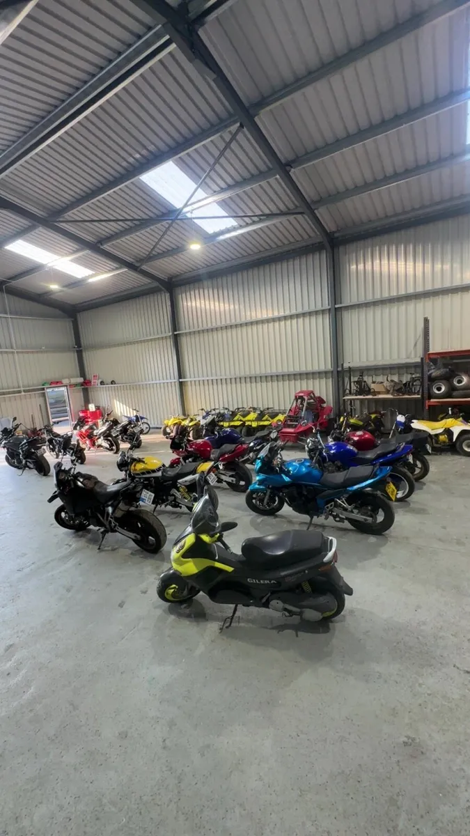 Project and running bikes - Image 4