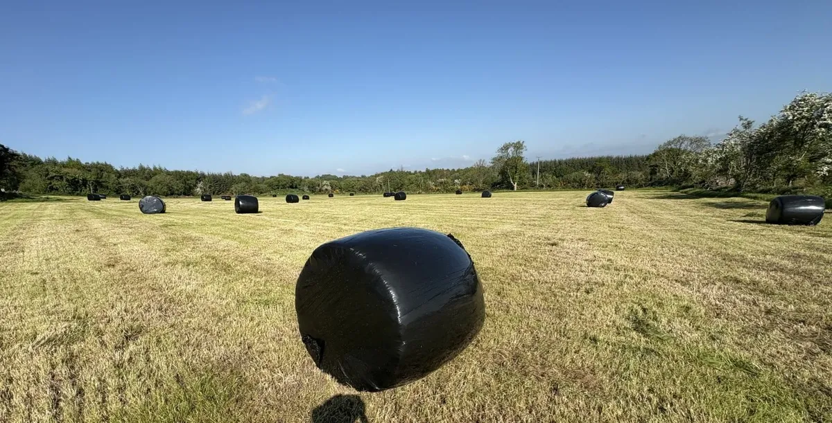 Silage Bales, second cut, top quality - Image 1