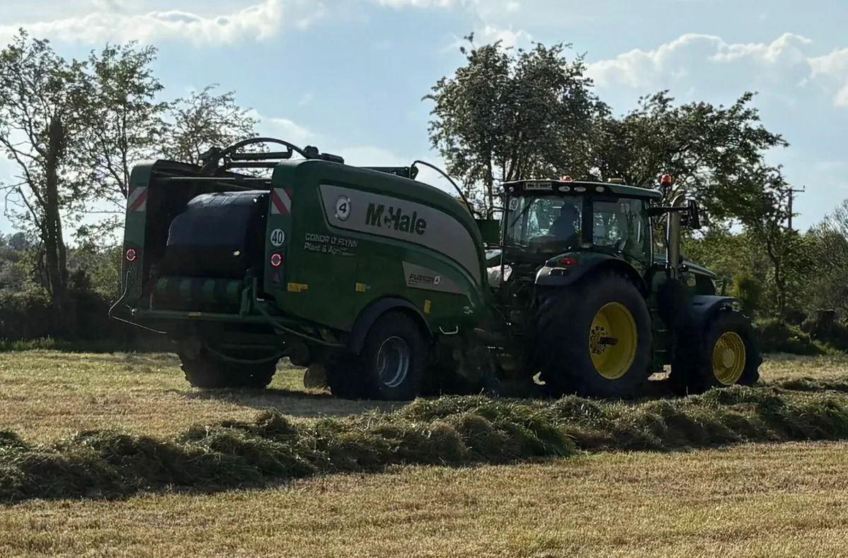 Silage Bales, second cut, top quality - Image 2