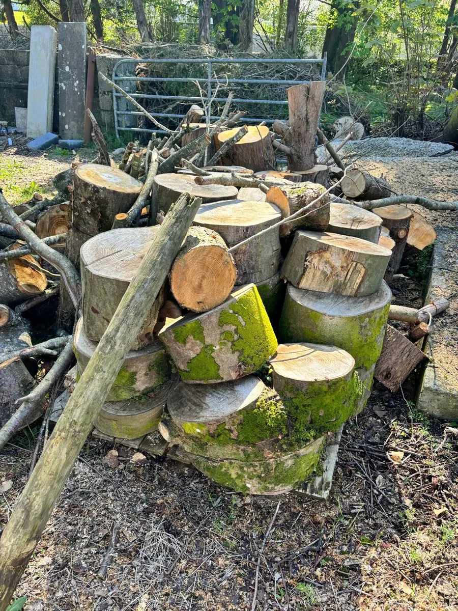Wood - Image 1