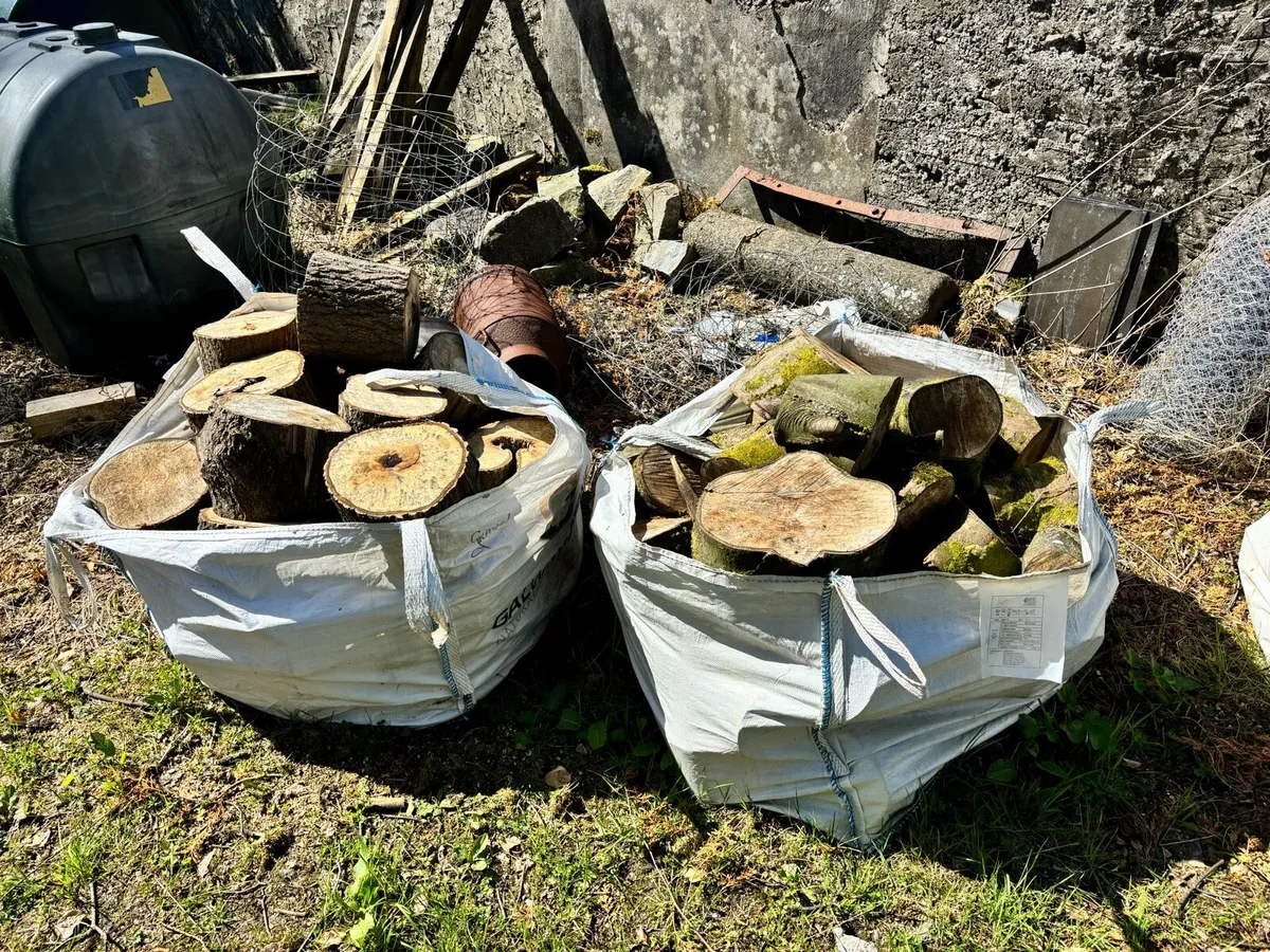 Wood - Image 2