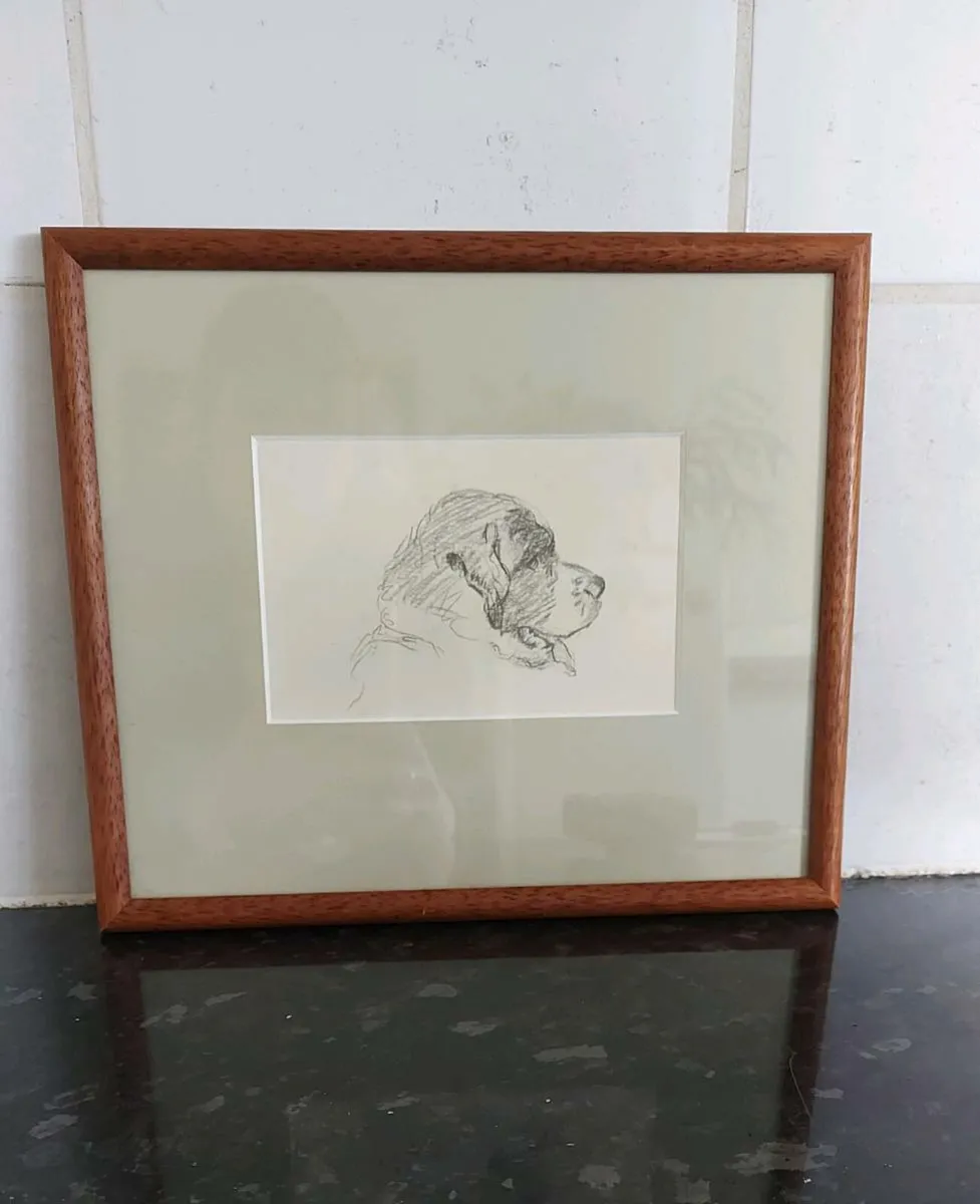 Small well framed pencil sketch of a St Bernard - Image 1