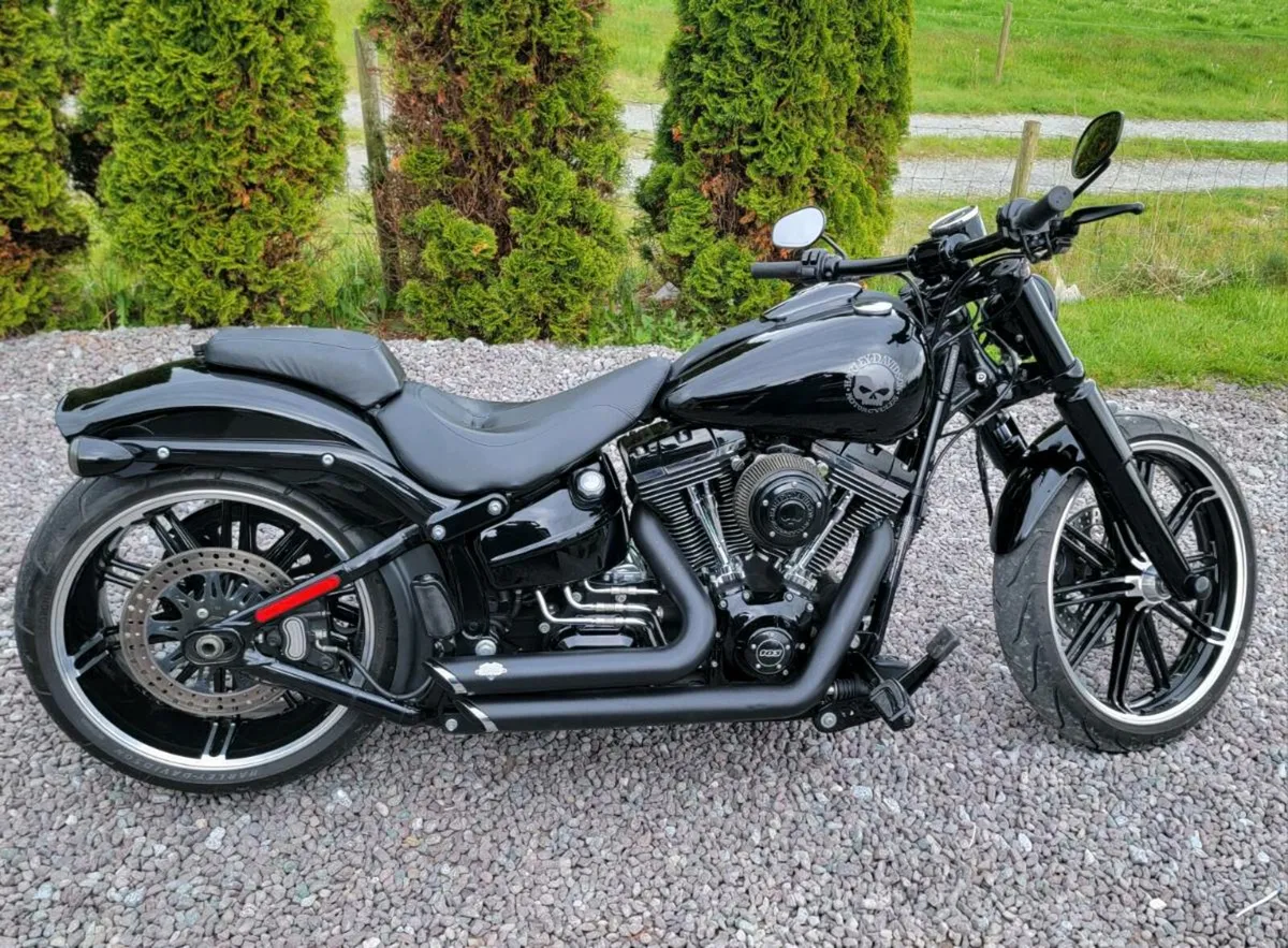 Harley Davidson breakout - Image 1