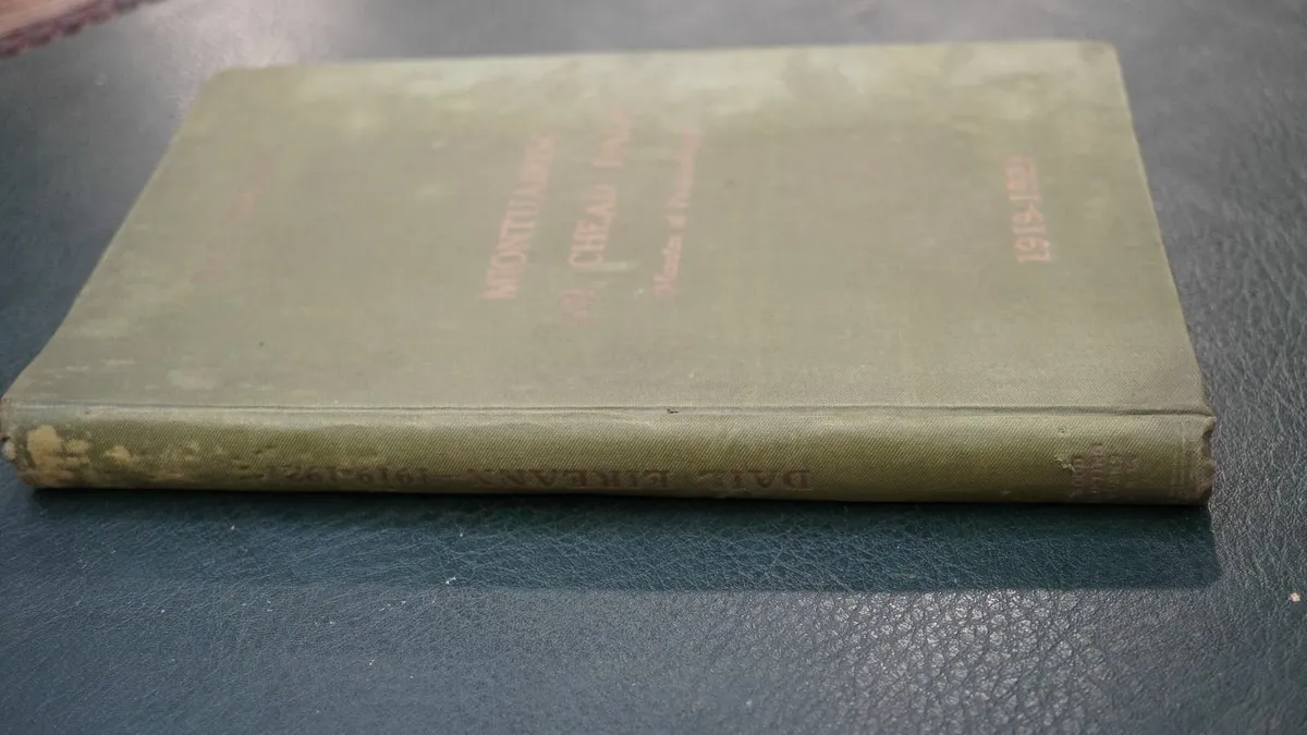 📚Dáil Éireann – Minutes of Proceedings 1919–1921 - Image 2
