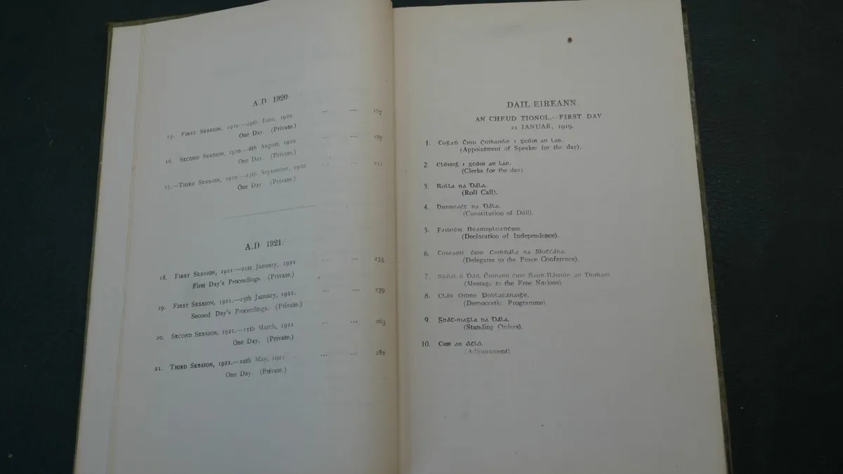 📚Dáil Éireann – Minutes of Proceedings 1919–1921 - Image 4
