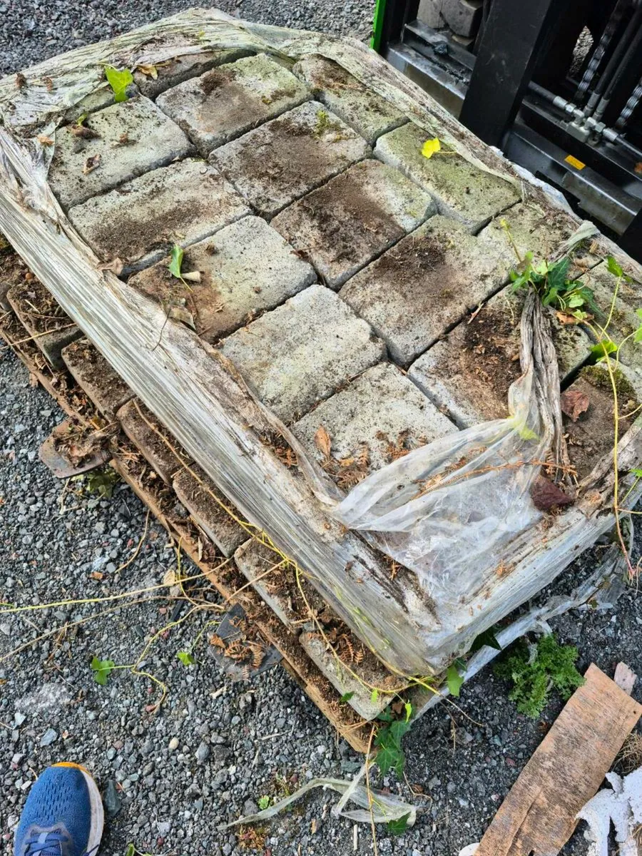 Paving - Image 2