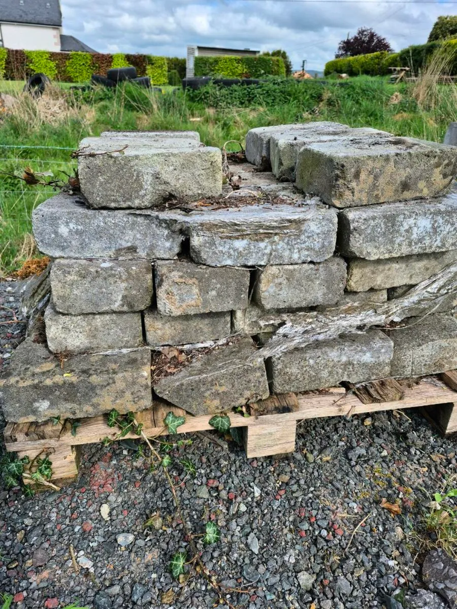 Paving - Image 3