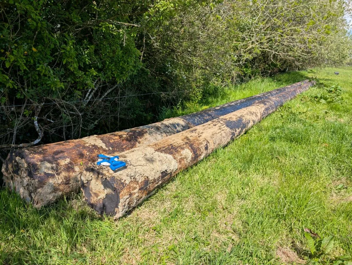 Esb poles 63ft - Image 1