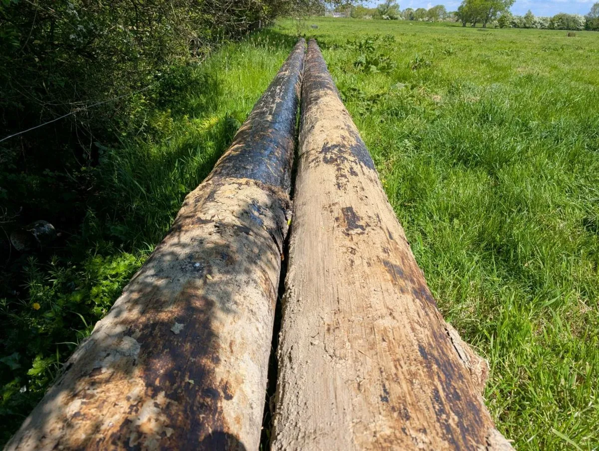 Esb poles 63ft - Image 2