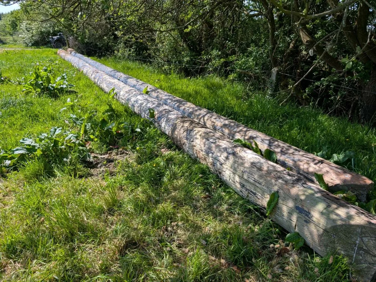 Esb poles 63ft - Image 3