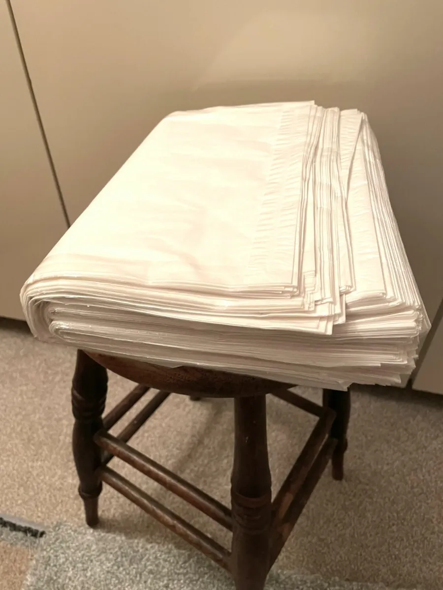 Large paperbacked bags - Image 4