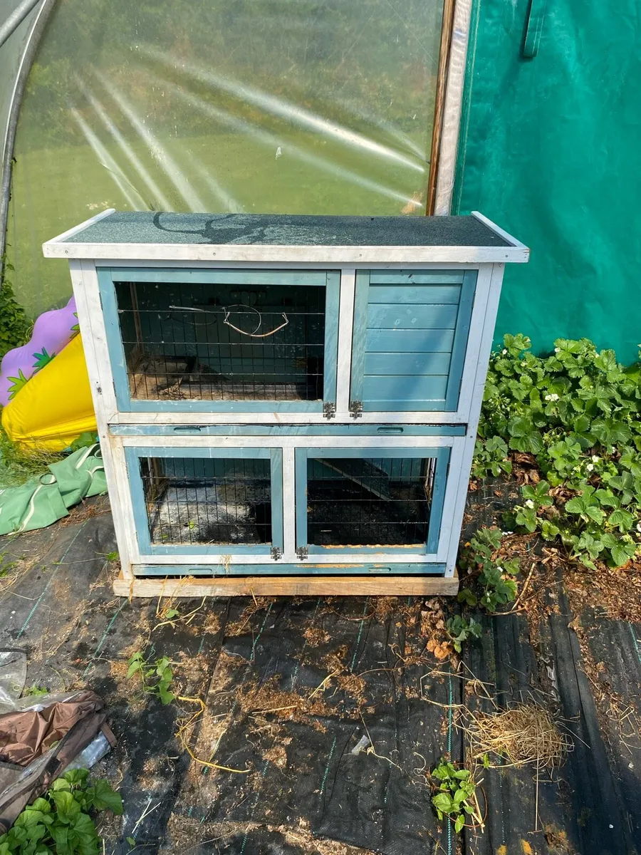 Rabbit hutch