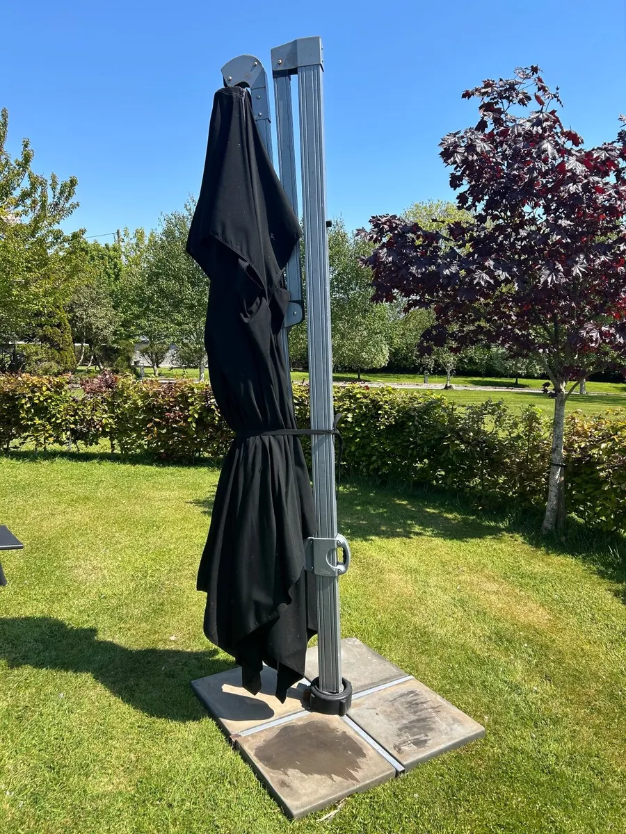 Parasol - Image 4