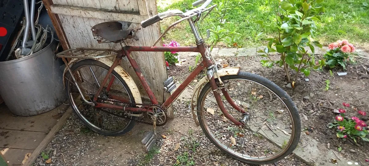 Vintage bicycle high nelly - Image 1