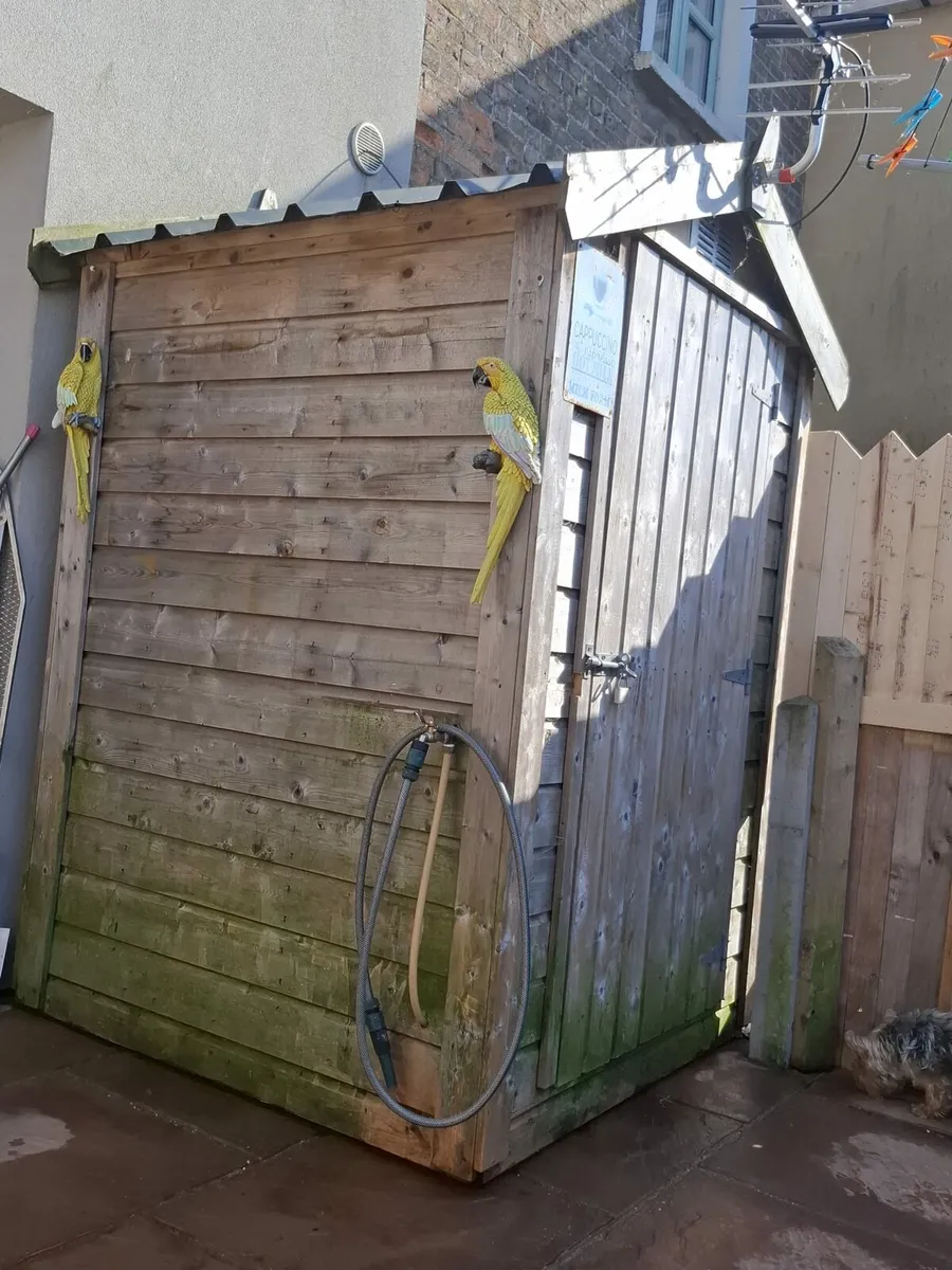 Shed for sale - Image 3