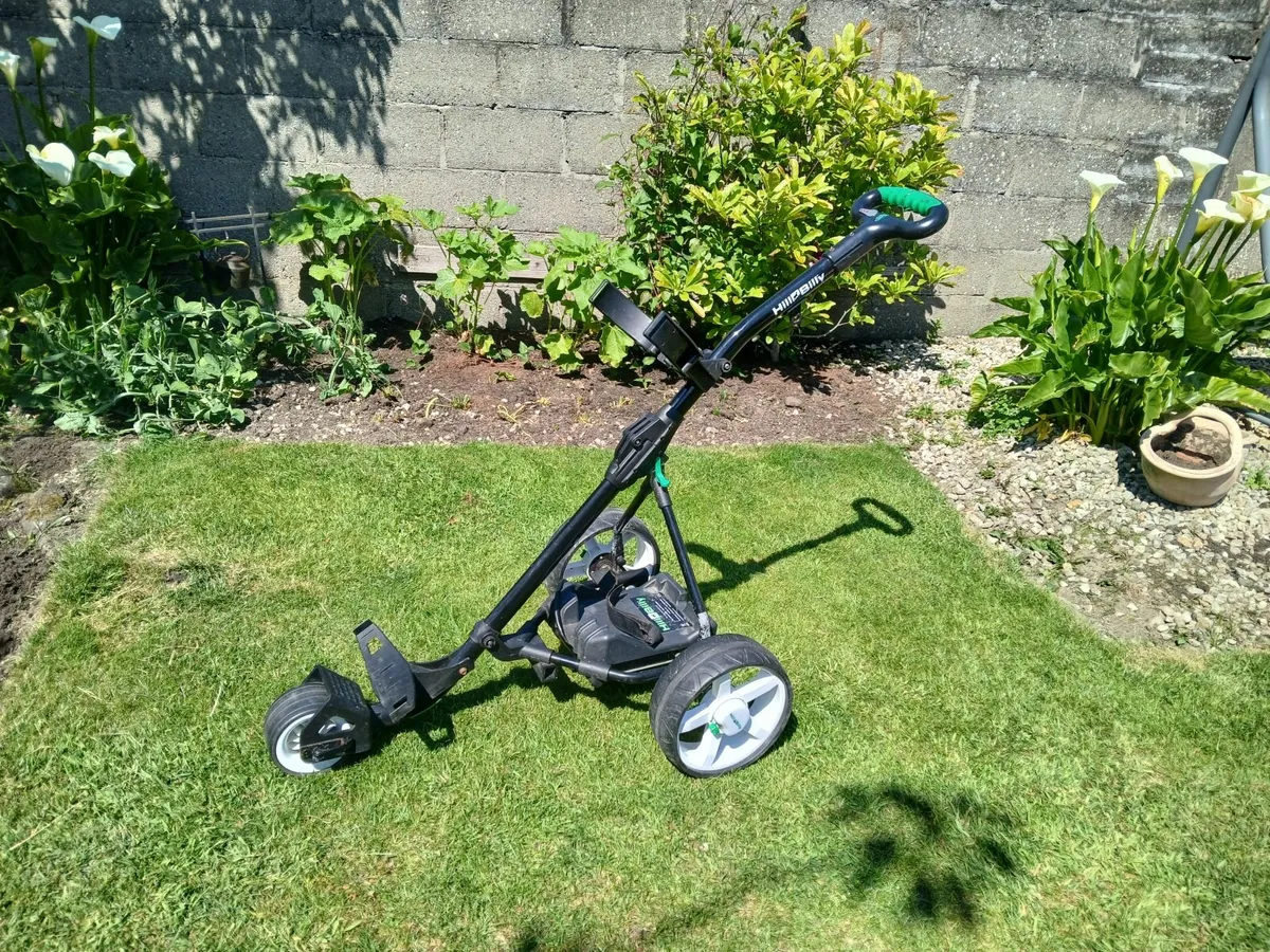 Golf Buggy - Image 2