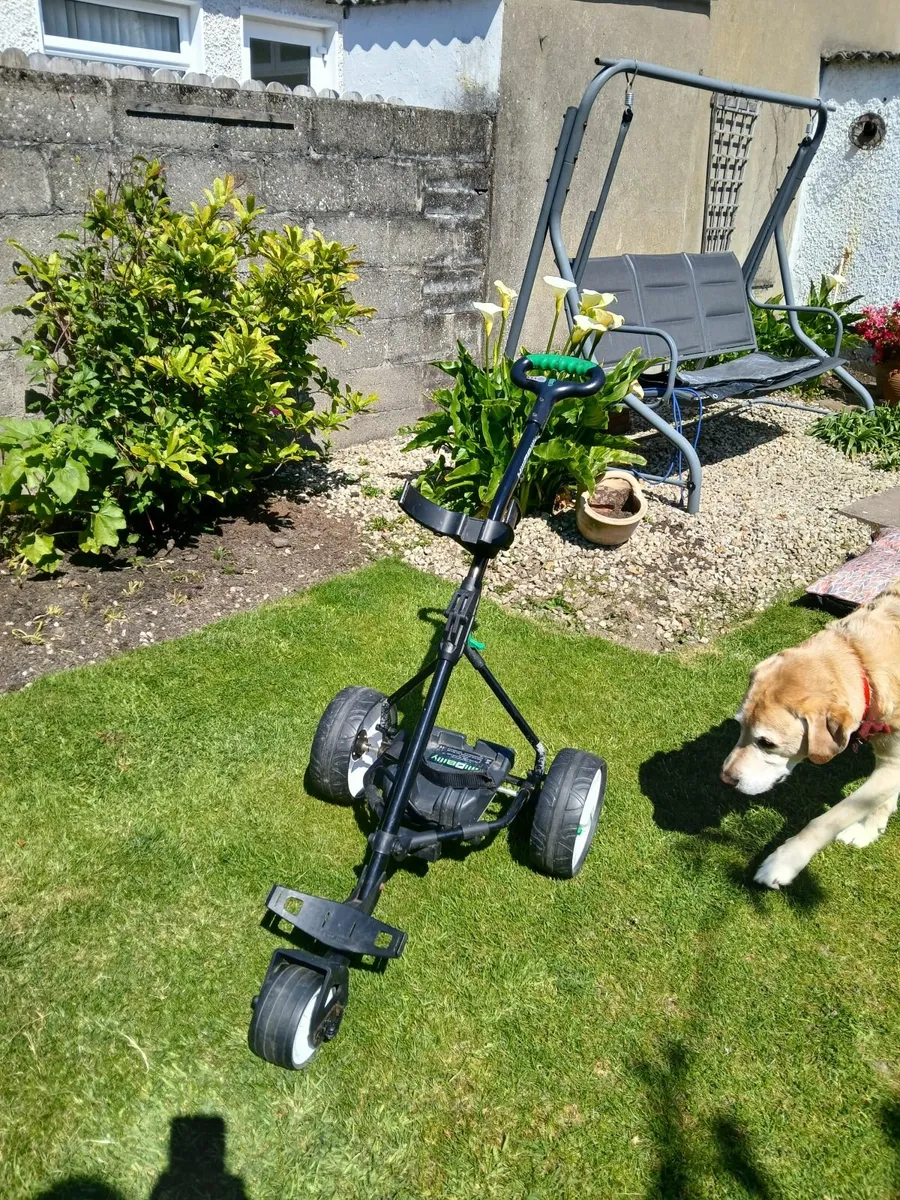 Golf Buggy - Image 3